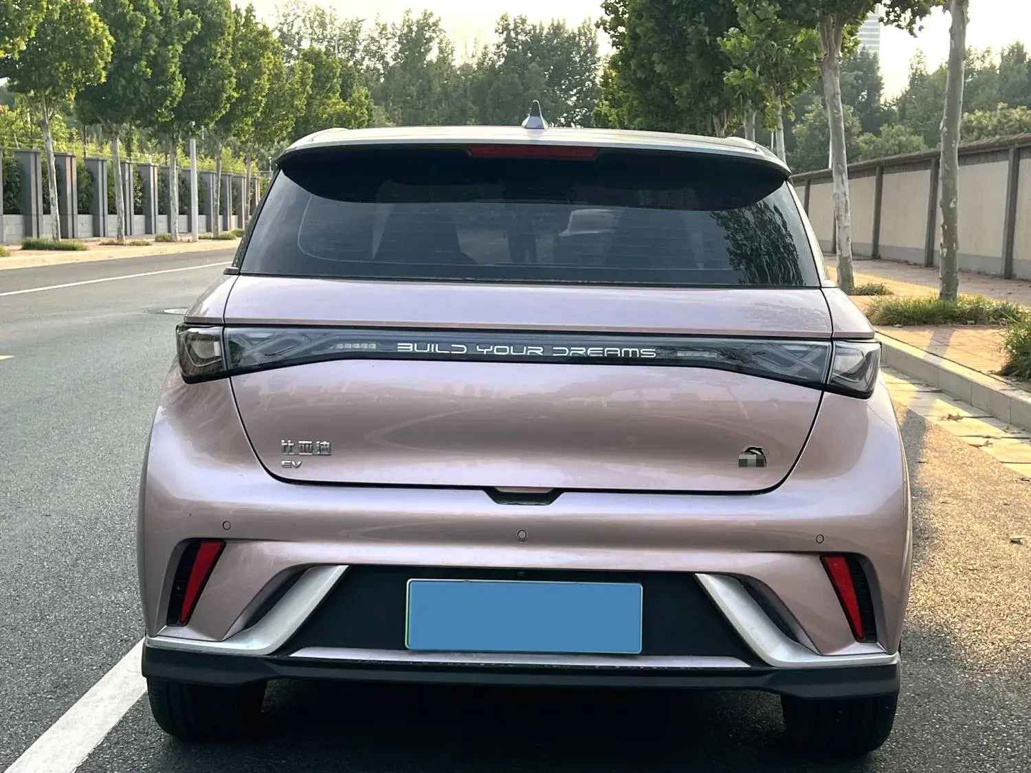 2023 BYD DOLPHIN thumbnail 4