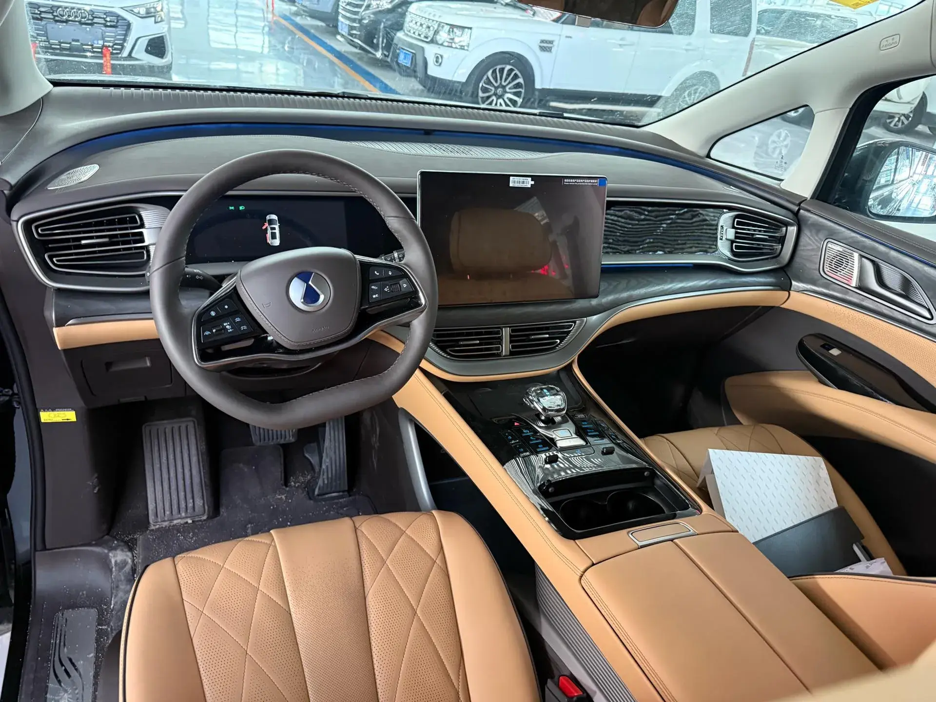 2025 DENZA D9 thumbnail 4