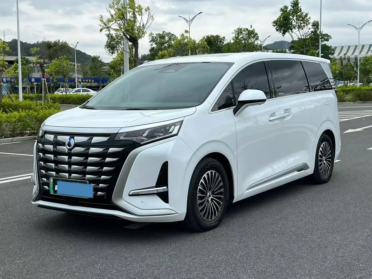 2022 DENZA D9 view 1