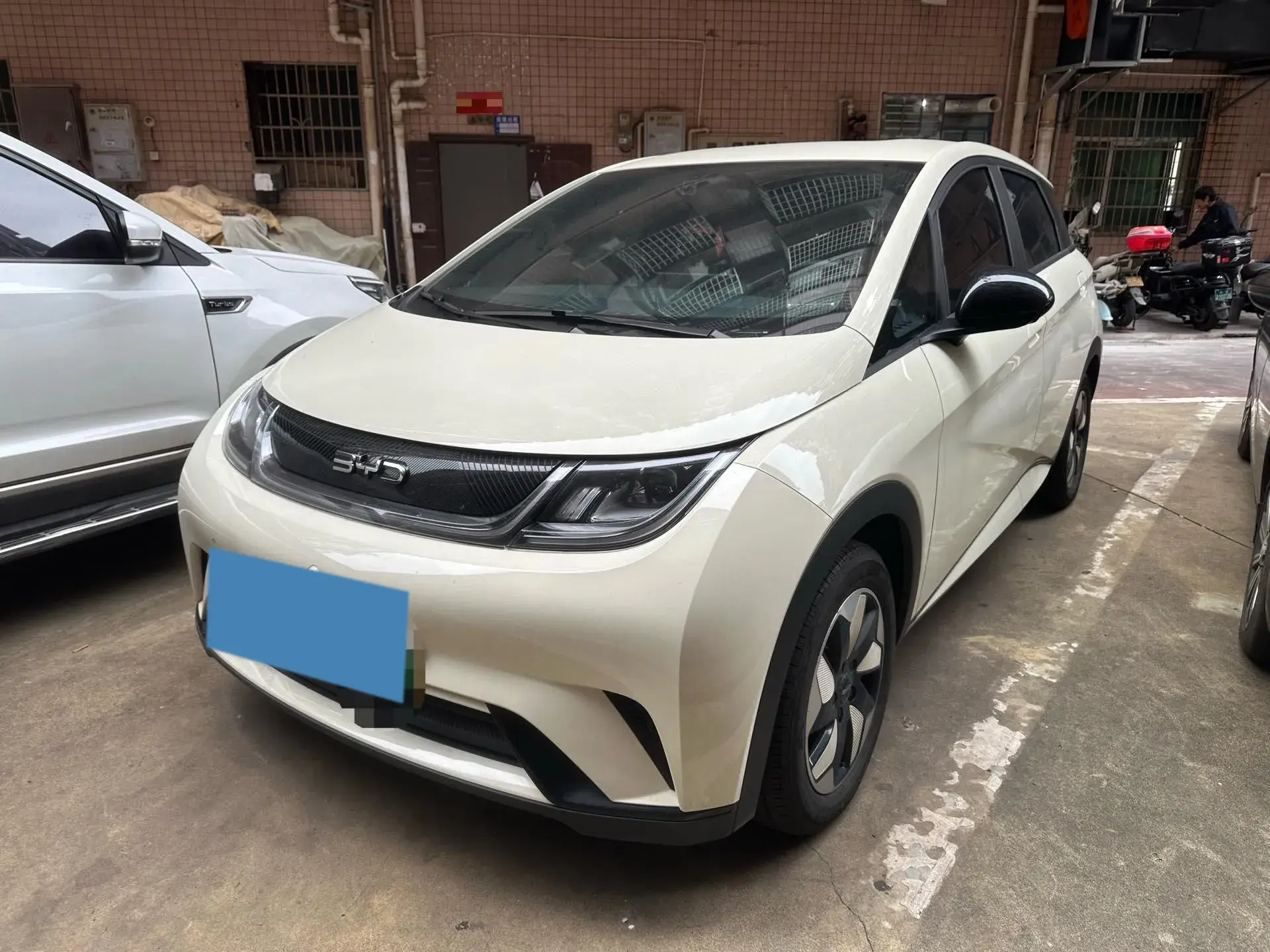 2025 BYD DOLPHIN view 1