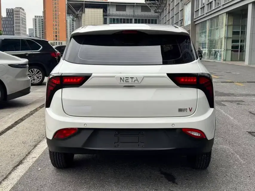 2021 NETA V thumbnail 3