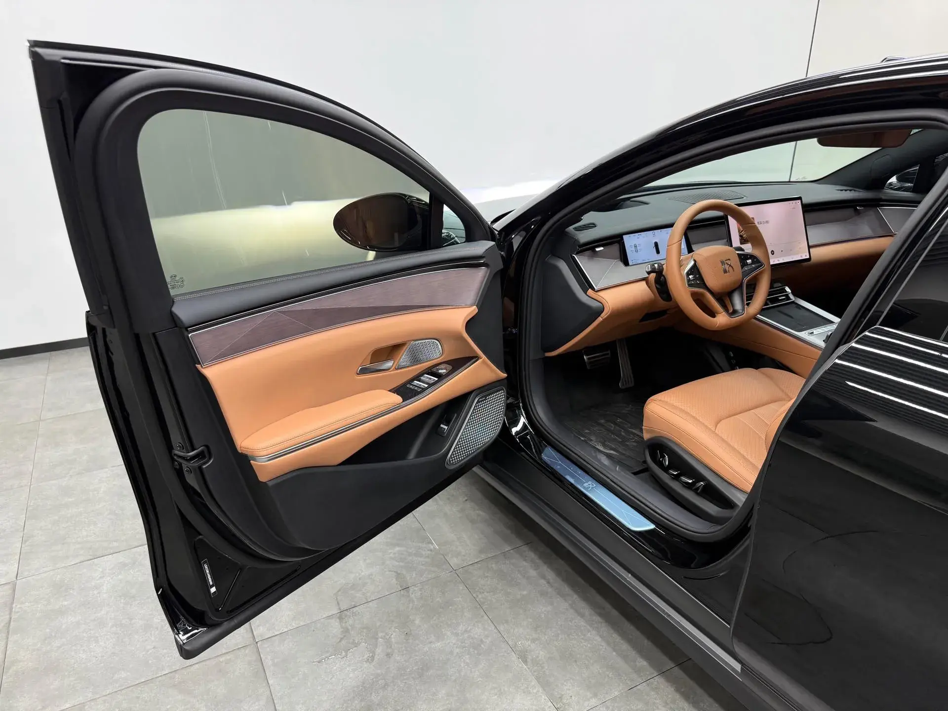 2025 BYD HANL thumbnail 2