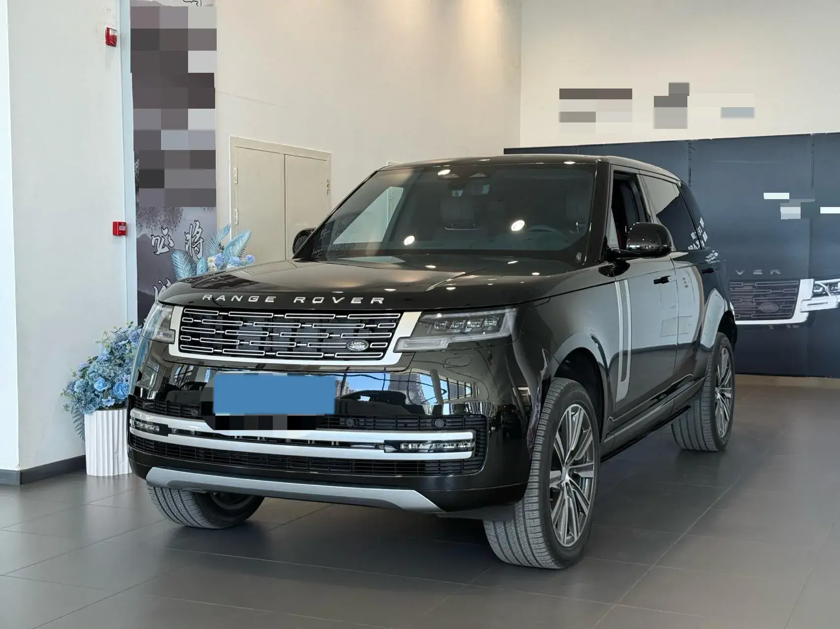 2025 LAND ROVER view 1