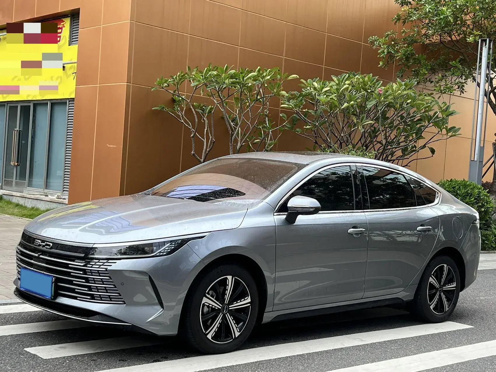 2023 BYD DESTROYER view 1