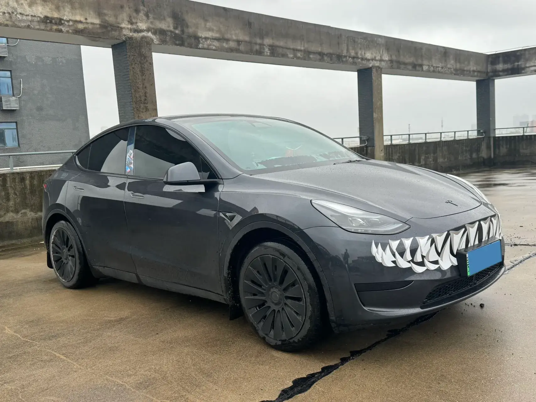 2024 TESLA MODEL thumbnail 3