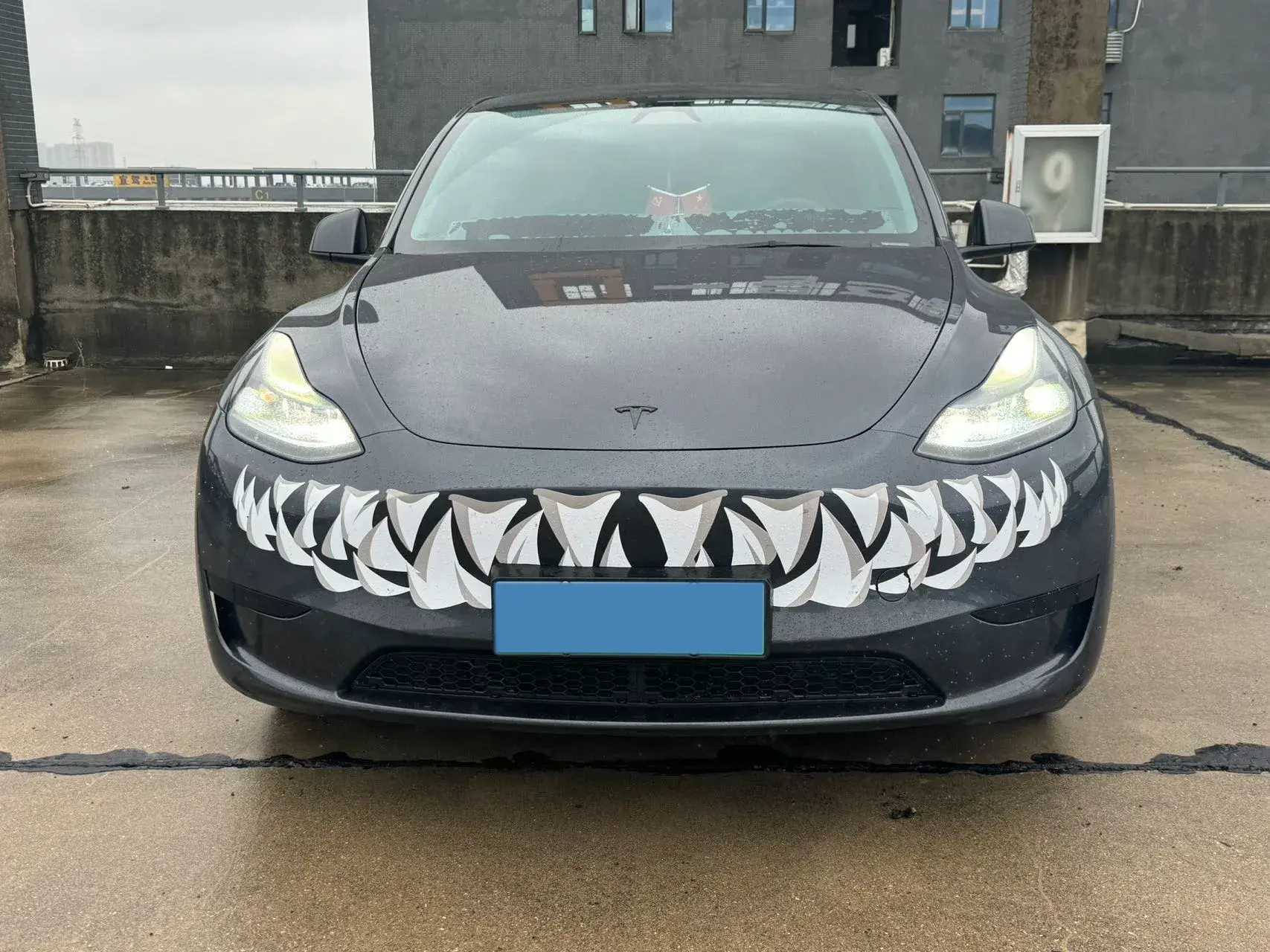 2024 TESLA MODEL thumbnail 2