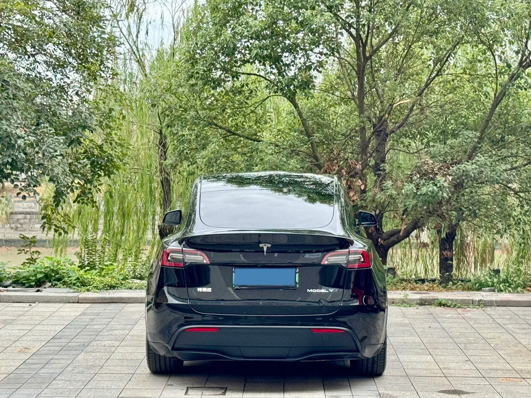 2022 TESLA MODEL thumbnail 3