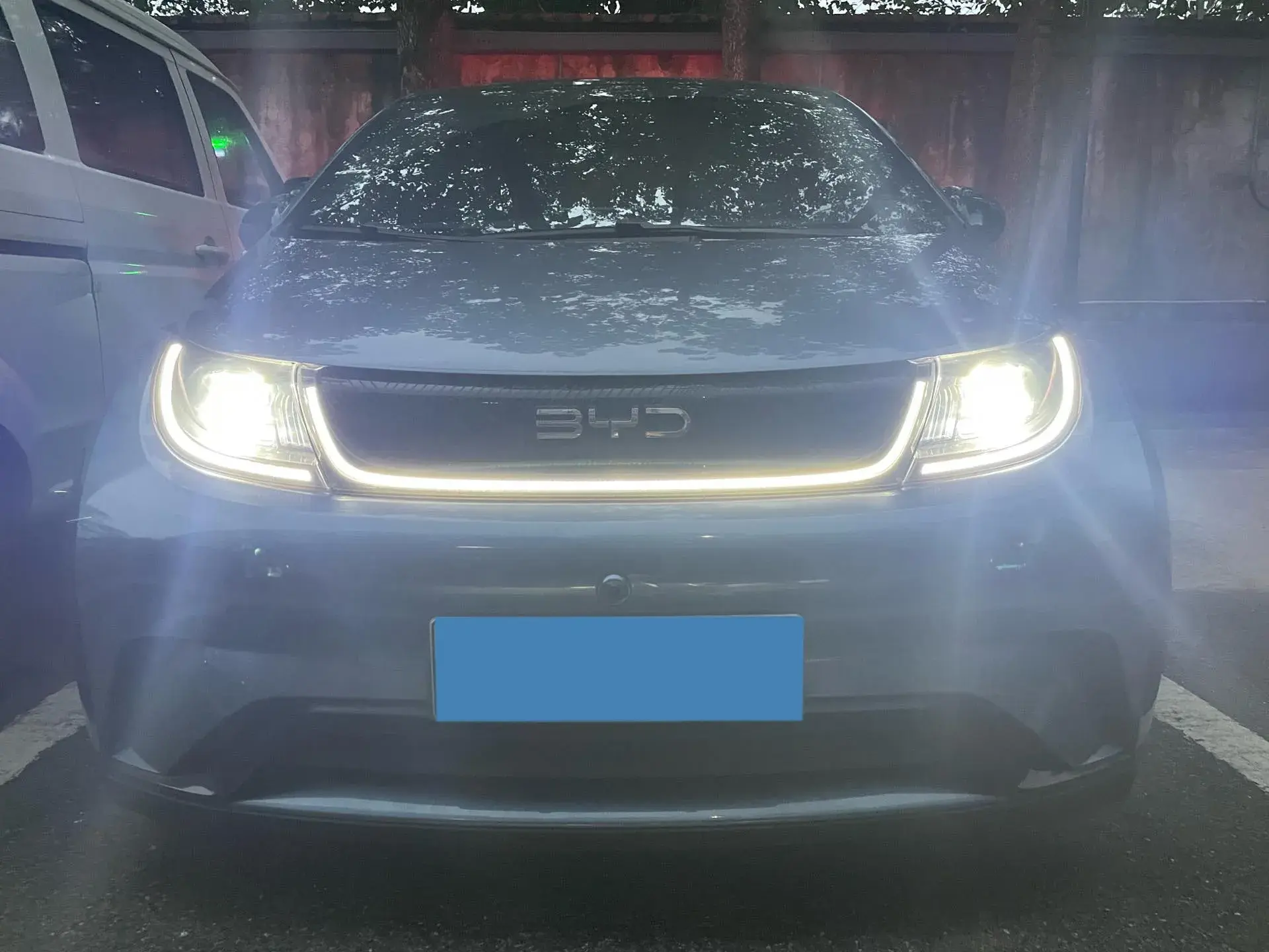 2024 BYD DOLPHIN thumbnail 2