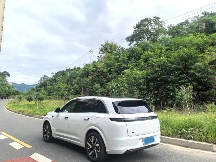 2023 LI L7 thumbnail 4