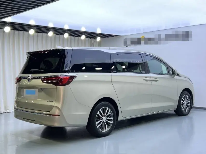 2020 BUICK GL8 thumbnail 2