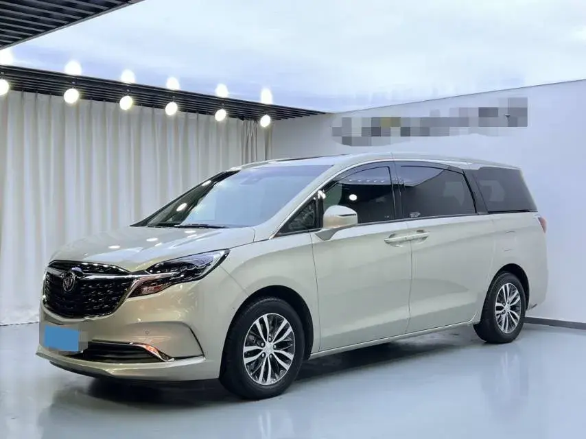 2020 BUICK GL8 view 1