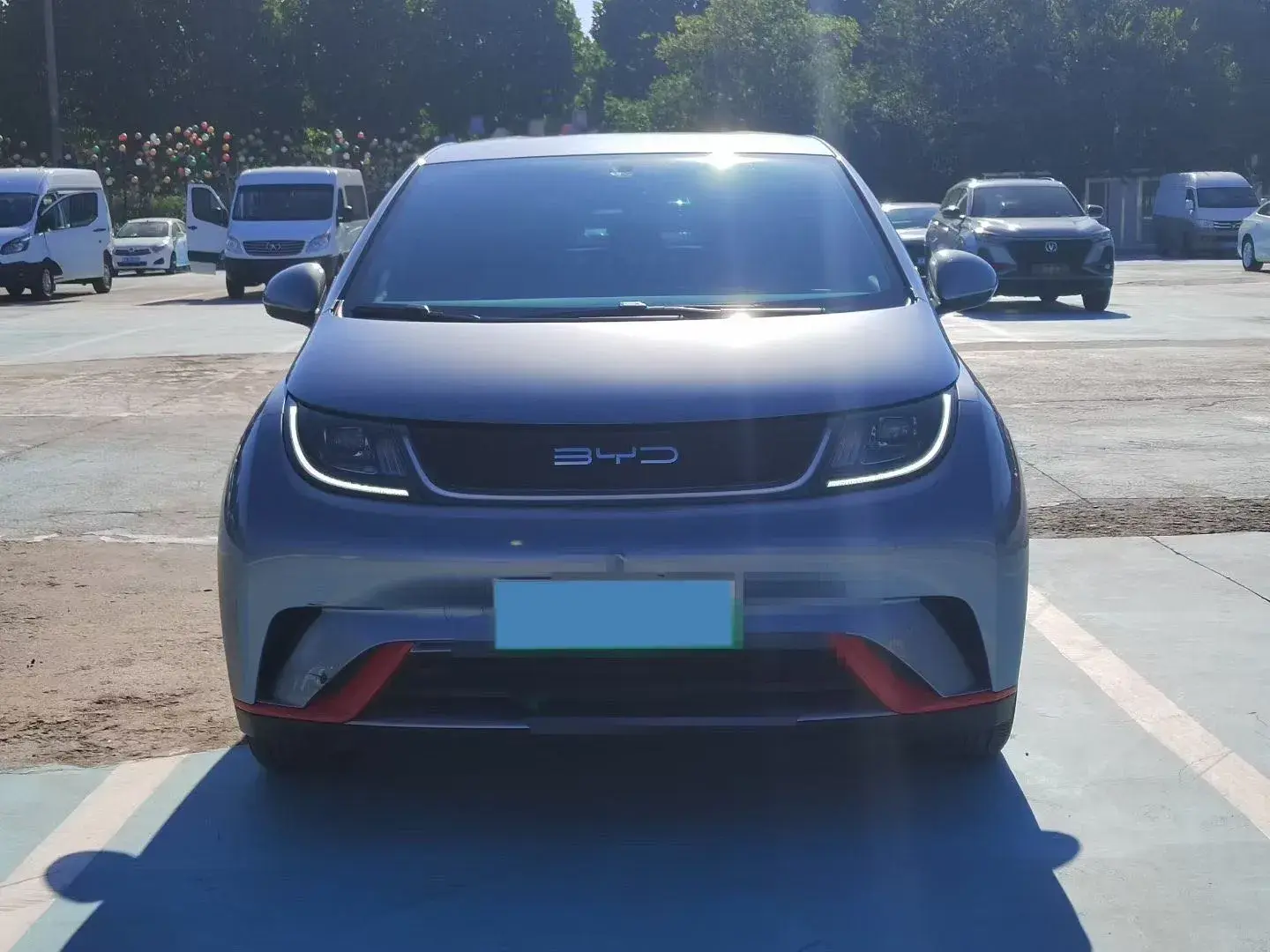 2021 BYD DOLPHIN thumbnail 2