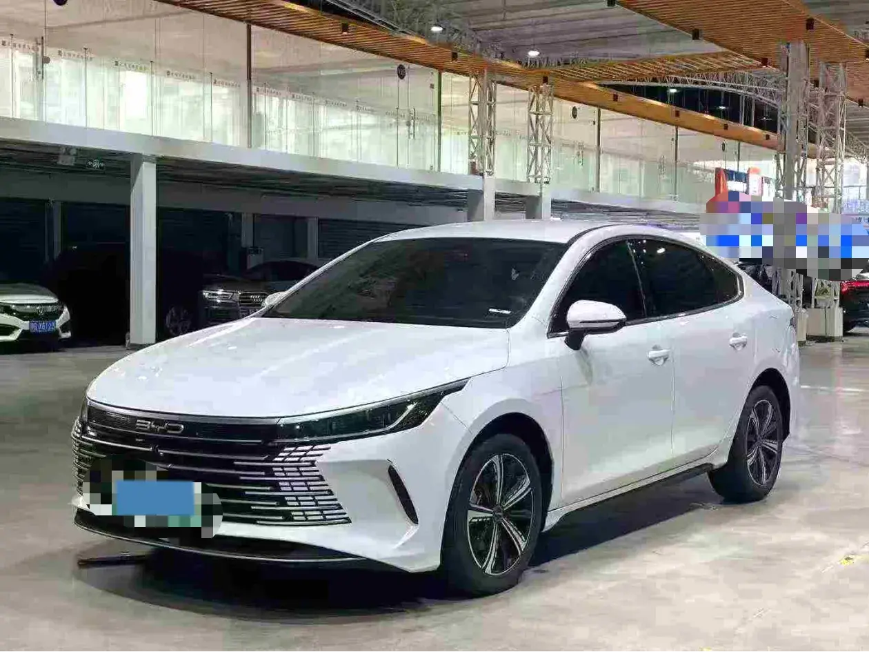 2024 BYD DESTROYER view 1