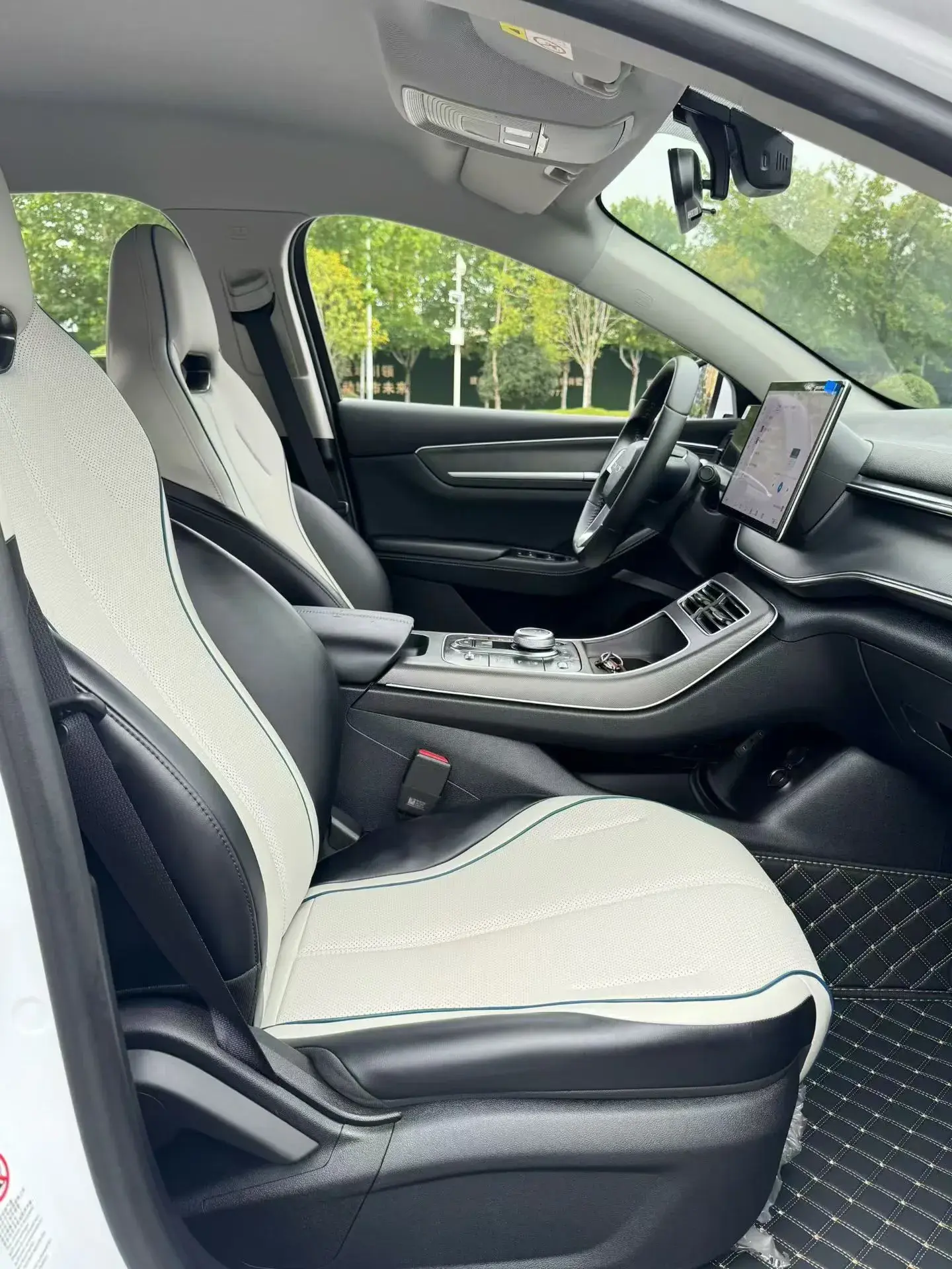 2024 BYD DESTROYER thumbnail 2