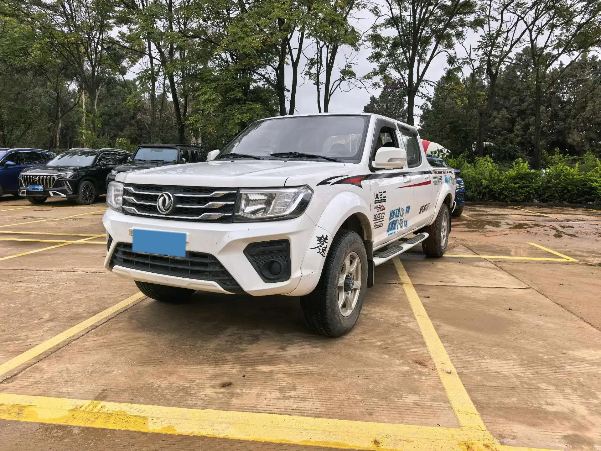 2021 DONGFENG RUIQI view 1