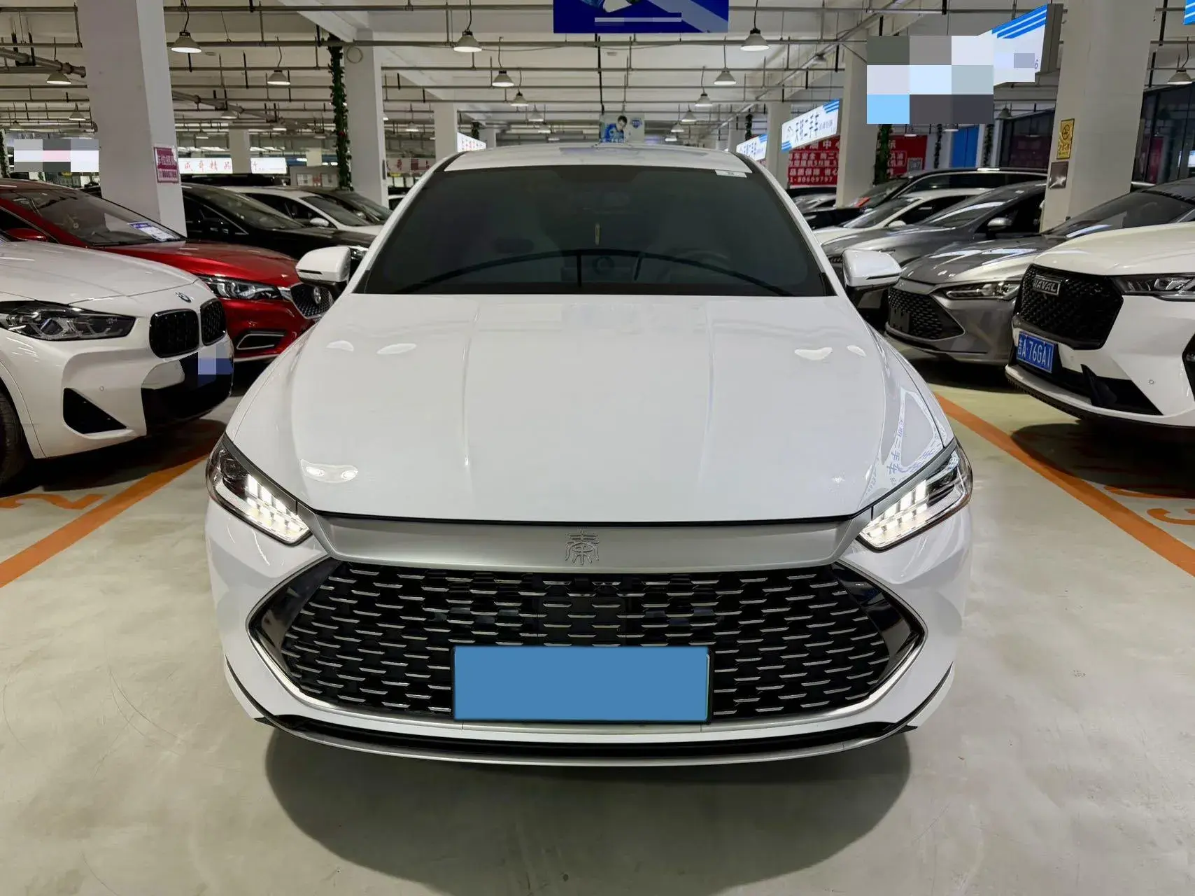 2024 BYD QIN thumbnail 2