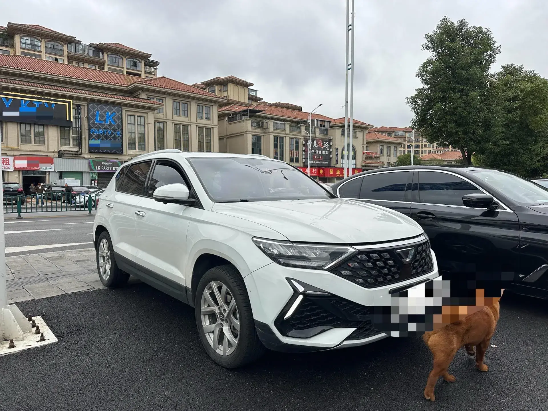 2022 JETTA VS5 thumbnail 2