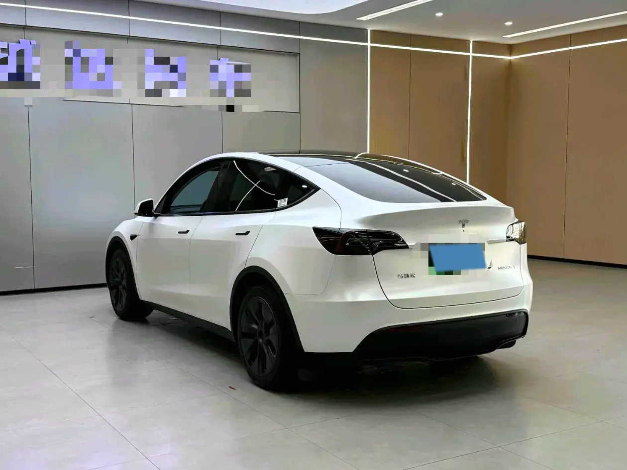 2024 TESLA MODEL thumbnail 3