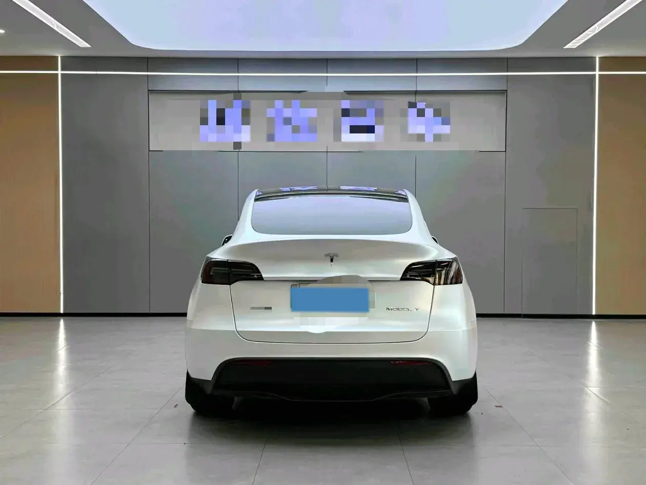 2024 TESLA MODEL thumbnail 4