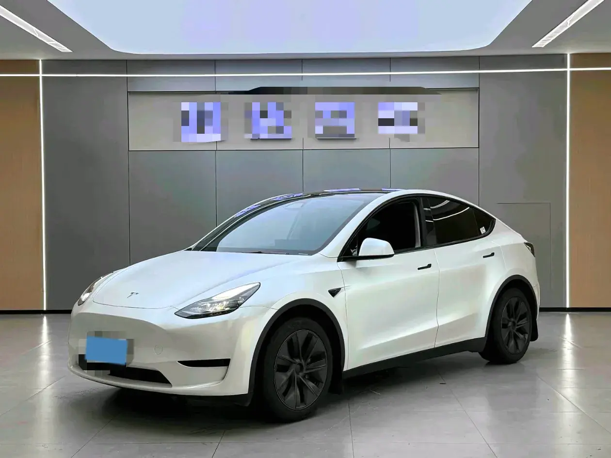 2024 TESLA MODEL view 1