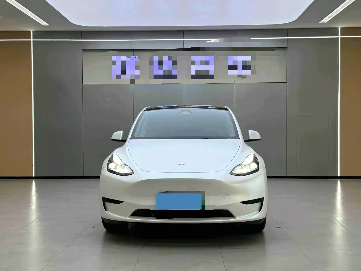 2024 TESLA MODEL thumbnail 2