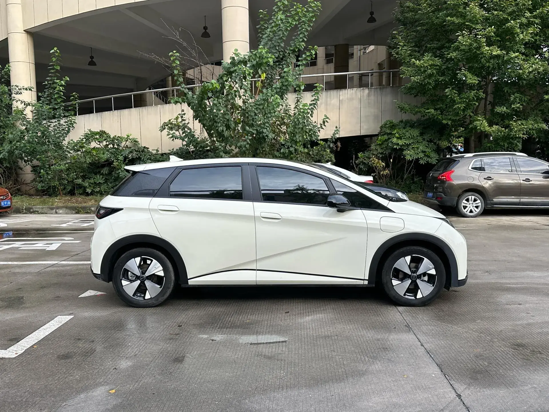 2023 BYD DOLPHIN thumbnail 4