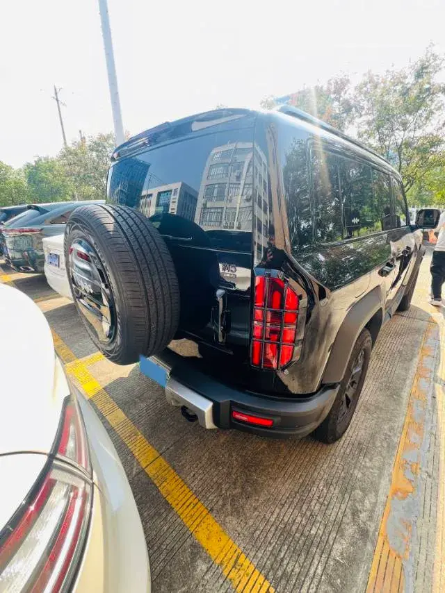 2023 FANGCHENGBAO BAO thumbnail 2