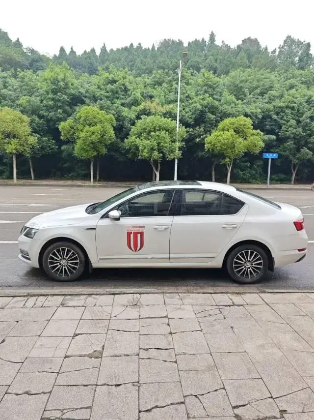 2019 SKODA OCTAVIA thumbnail 3