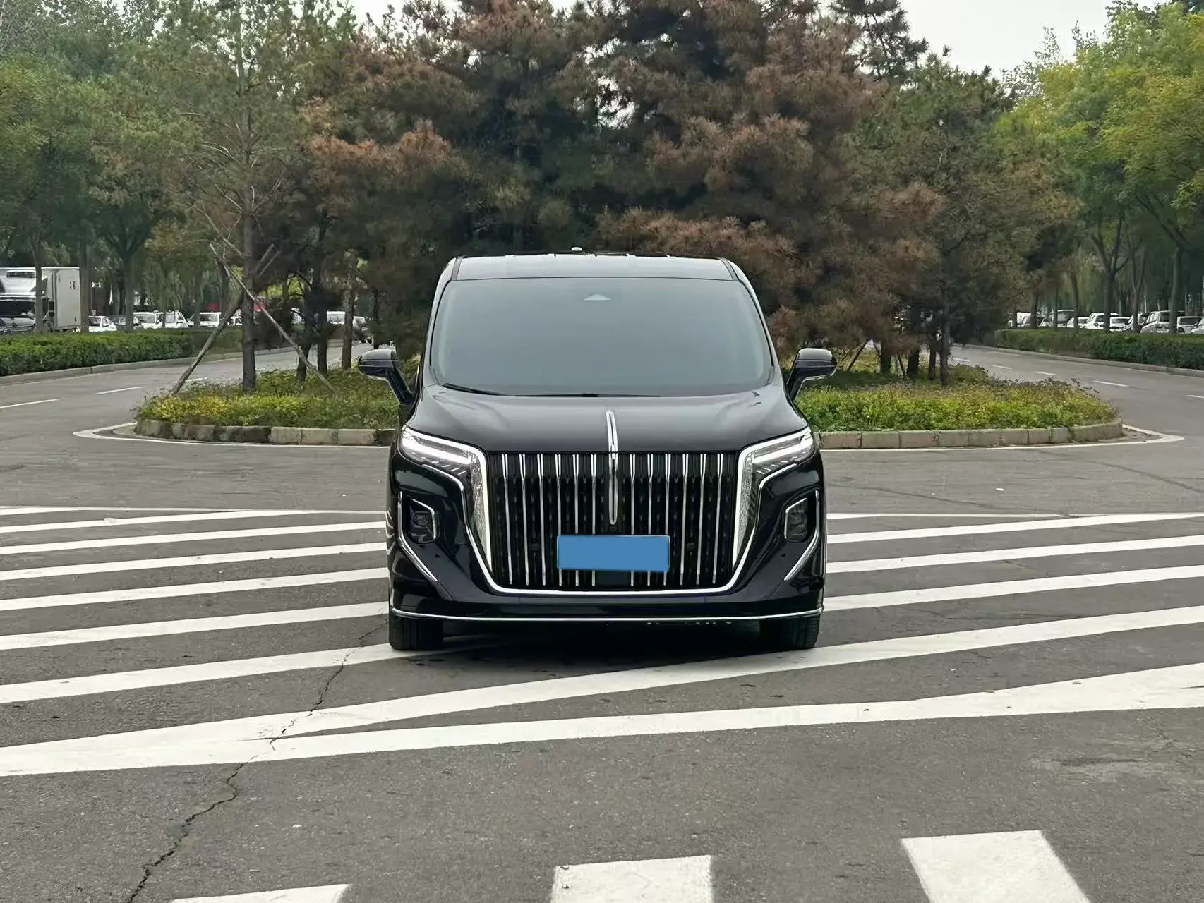 2024 HONGQI HQ9 thumbnail 2