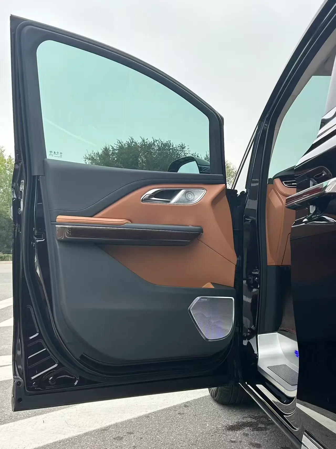 2024 HONGQI HQ9 thumbnail 4