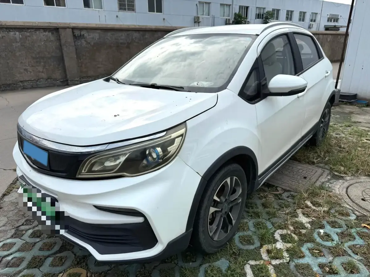 2020 Livan Maple 30X BEV 37KWH