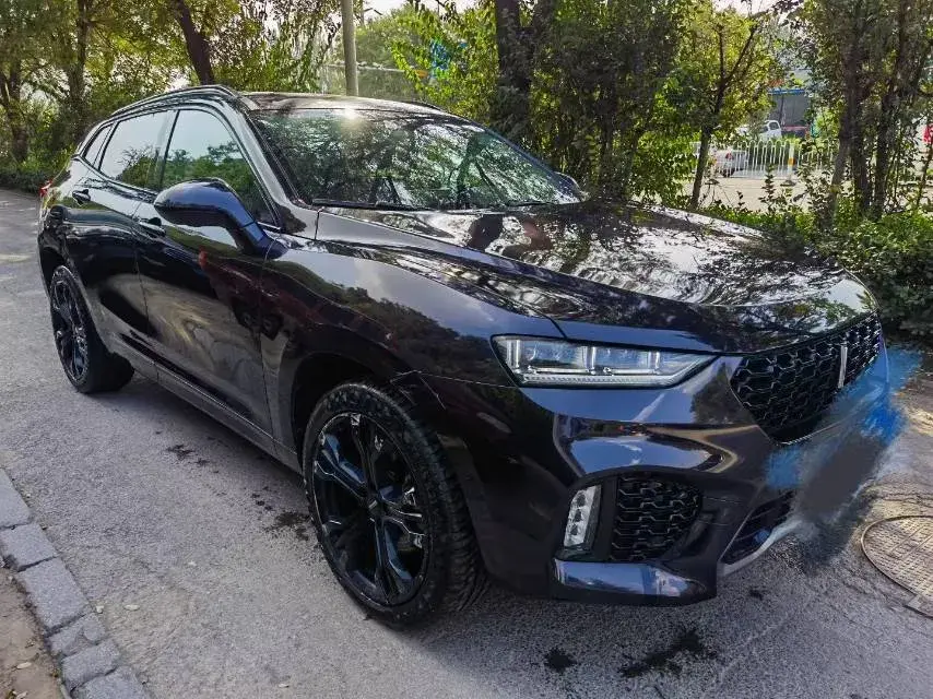 2017 ZOTYE T700 thumbnail 3