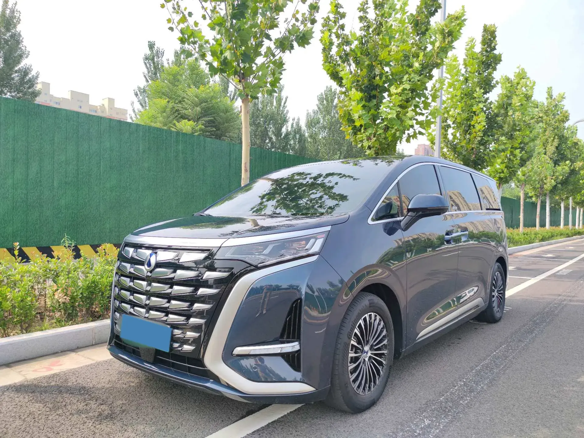 2022 DENZA D9 view 1