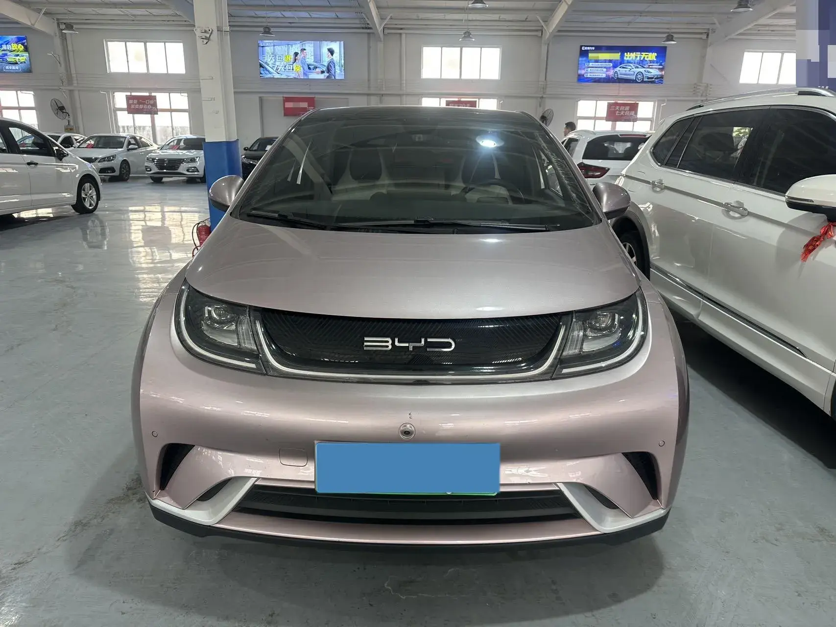 2023 BYD DOLPHIN thumbnail 2