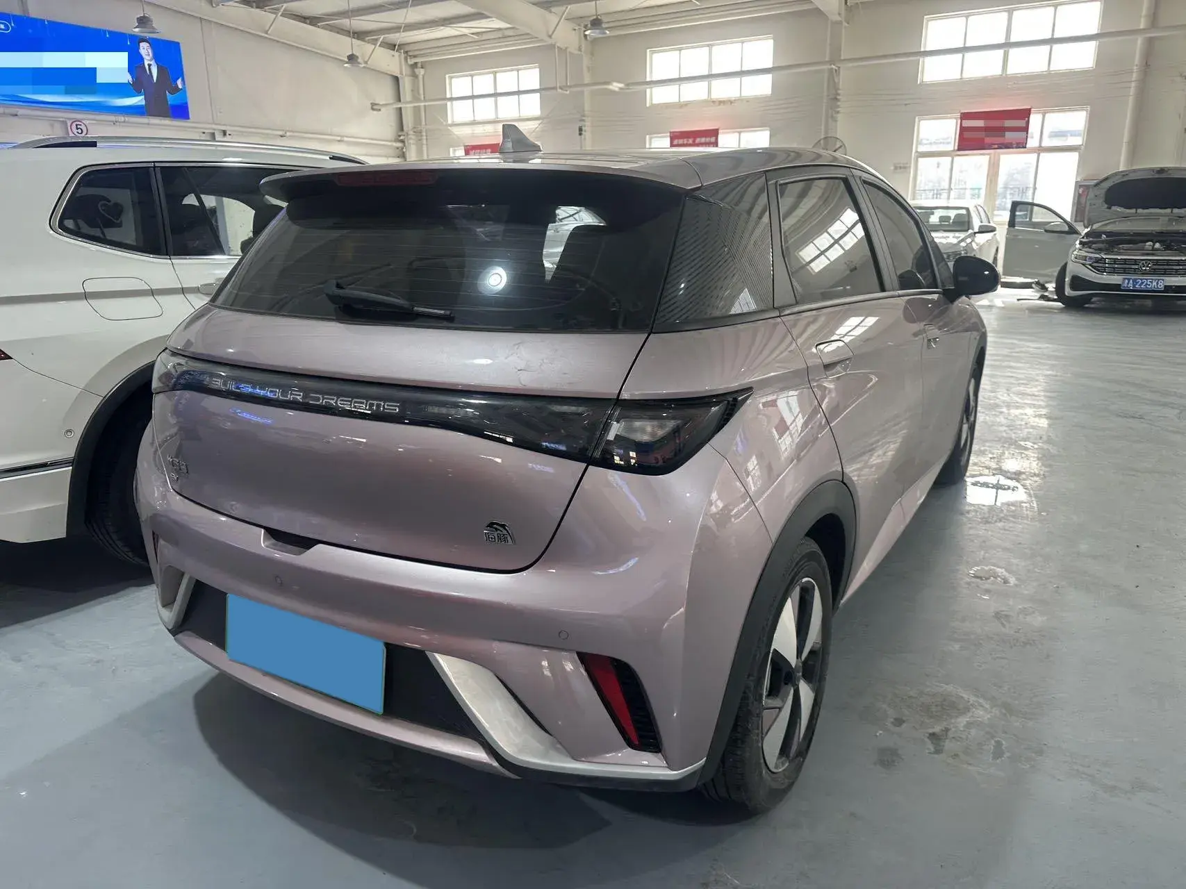 2023 BYD DOLPHIN thumbnail 4