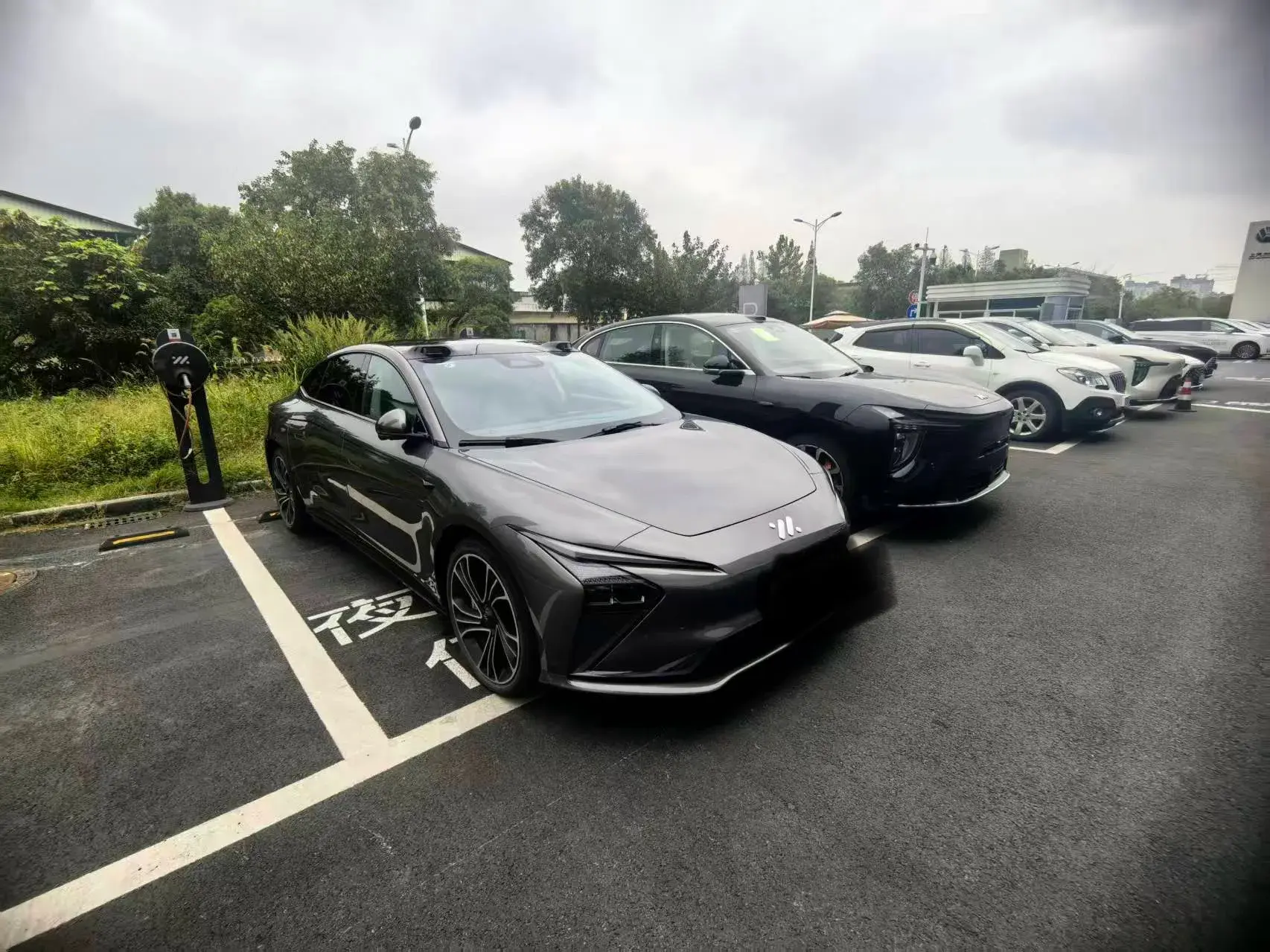 2024 IM L7 thumbnail 3