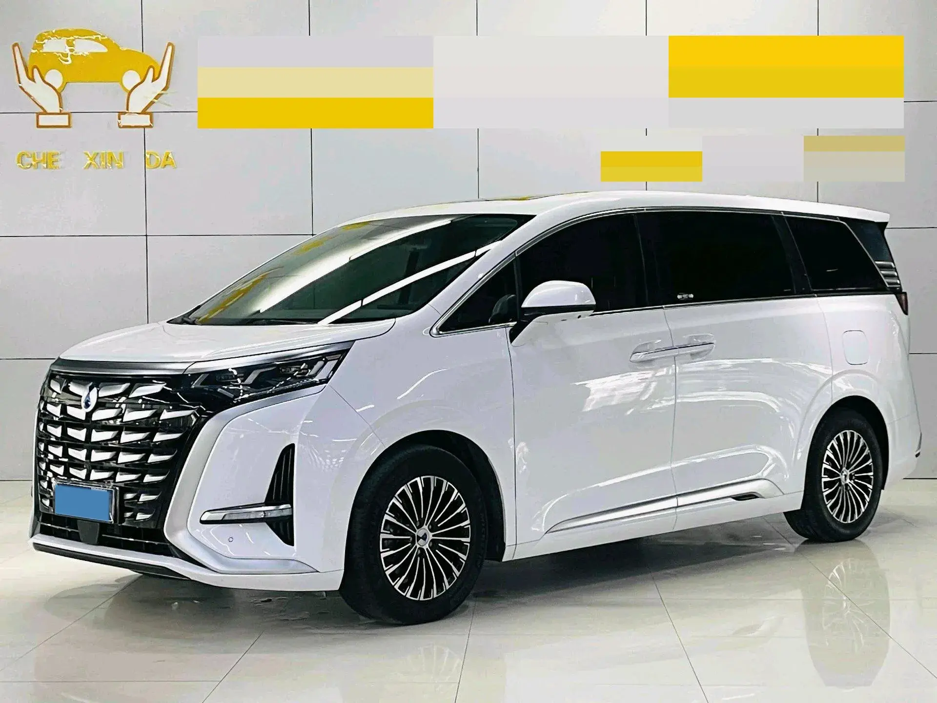 2022 DENZA D9 view 1