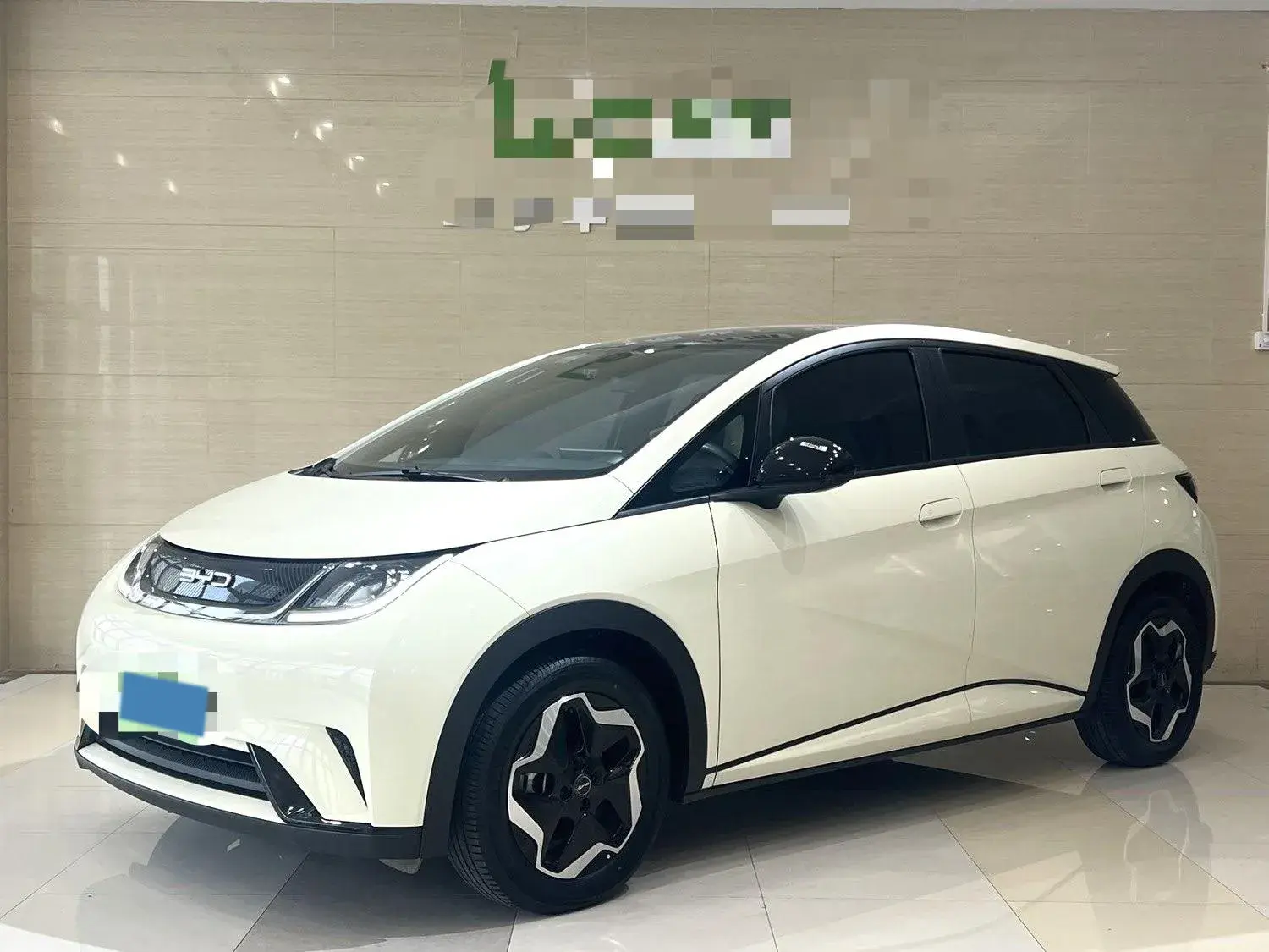 2023 BYD DOLPHIN view 1