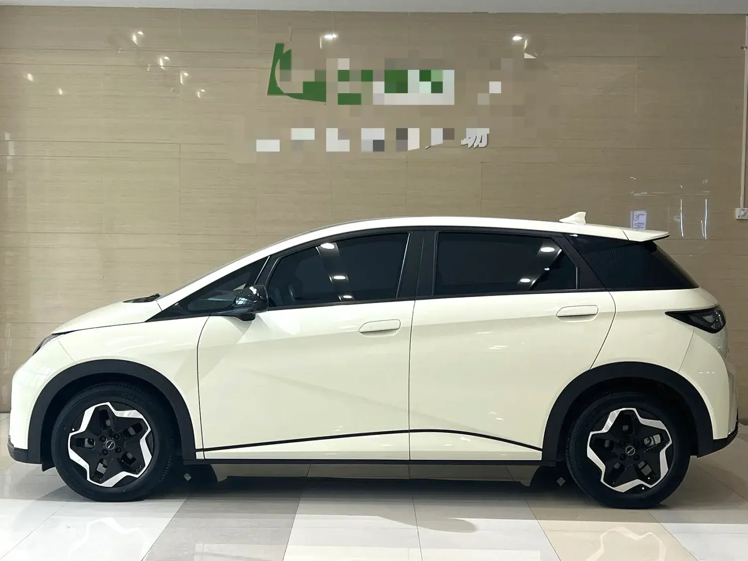 2023 BYD DOLPHIN thumbnail 2