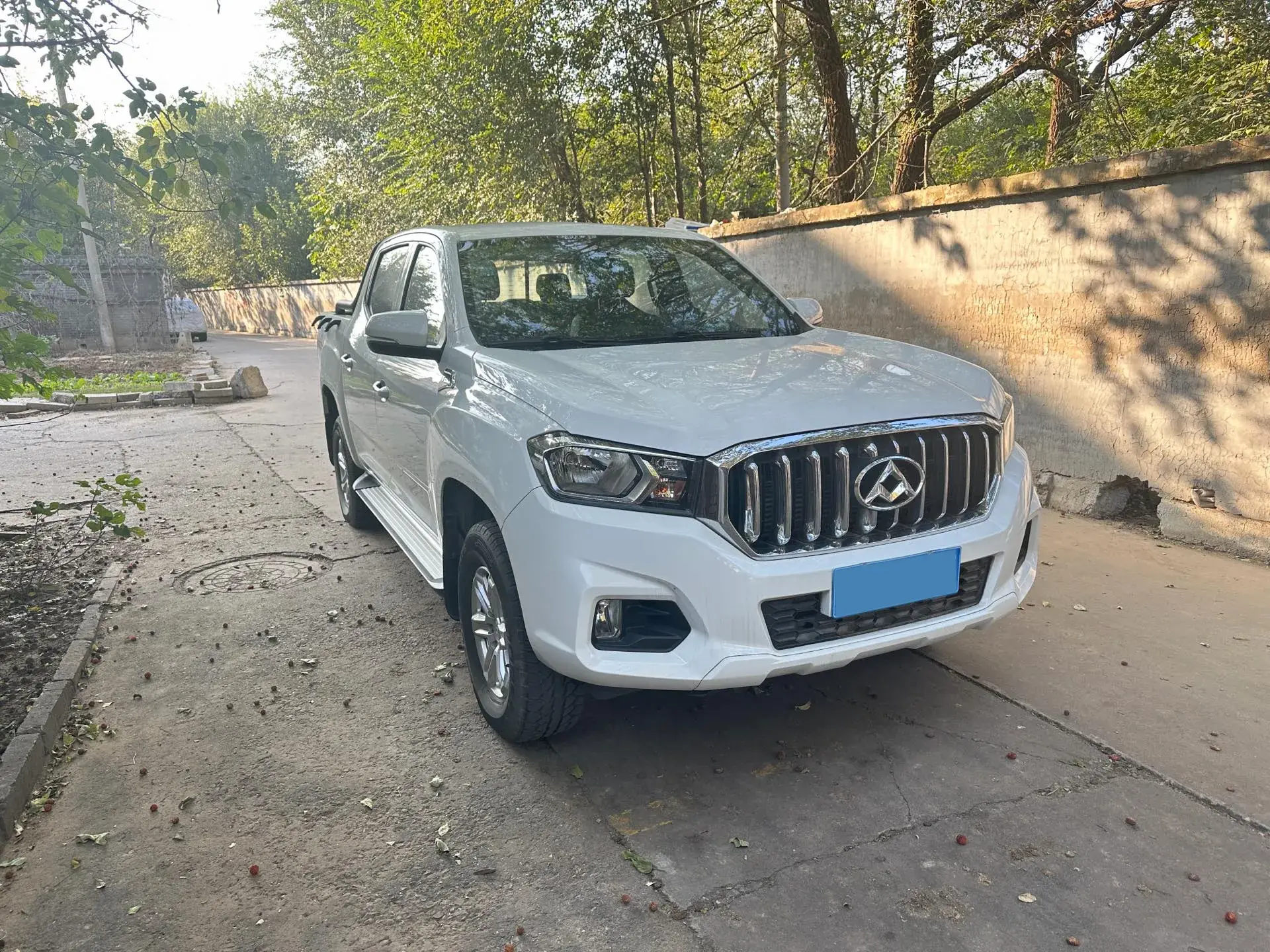 2017 MAXUS T60 thumbnail 3