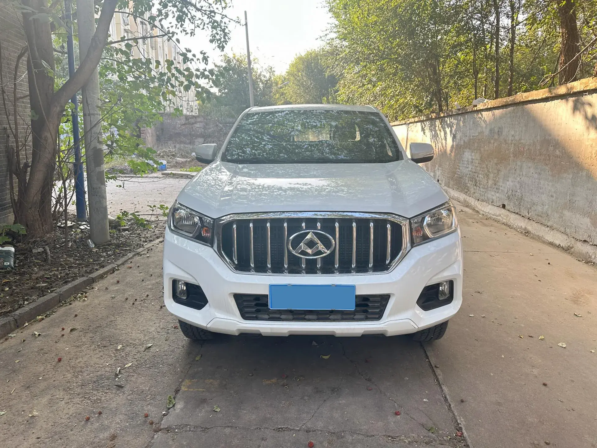 2017 MAXUS T60 thumbnail 2