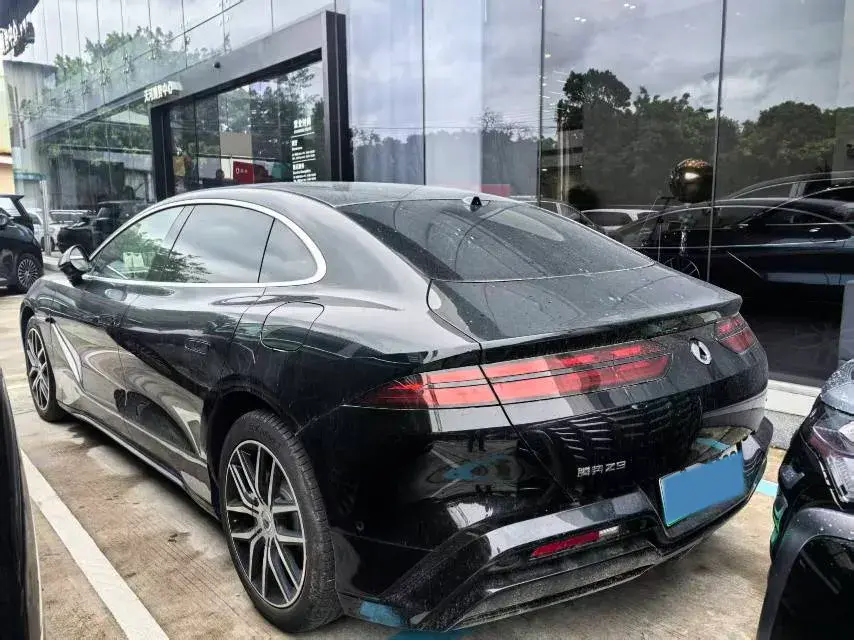 2024 DENZA DENZAZ9 thumbnail 2