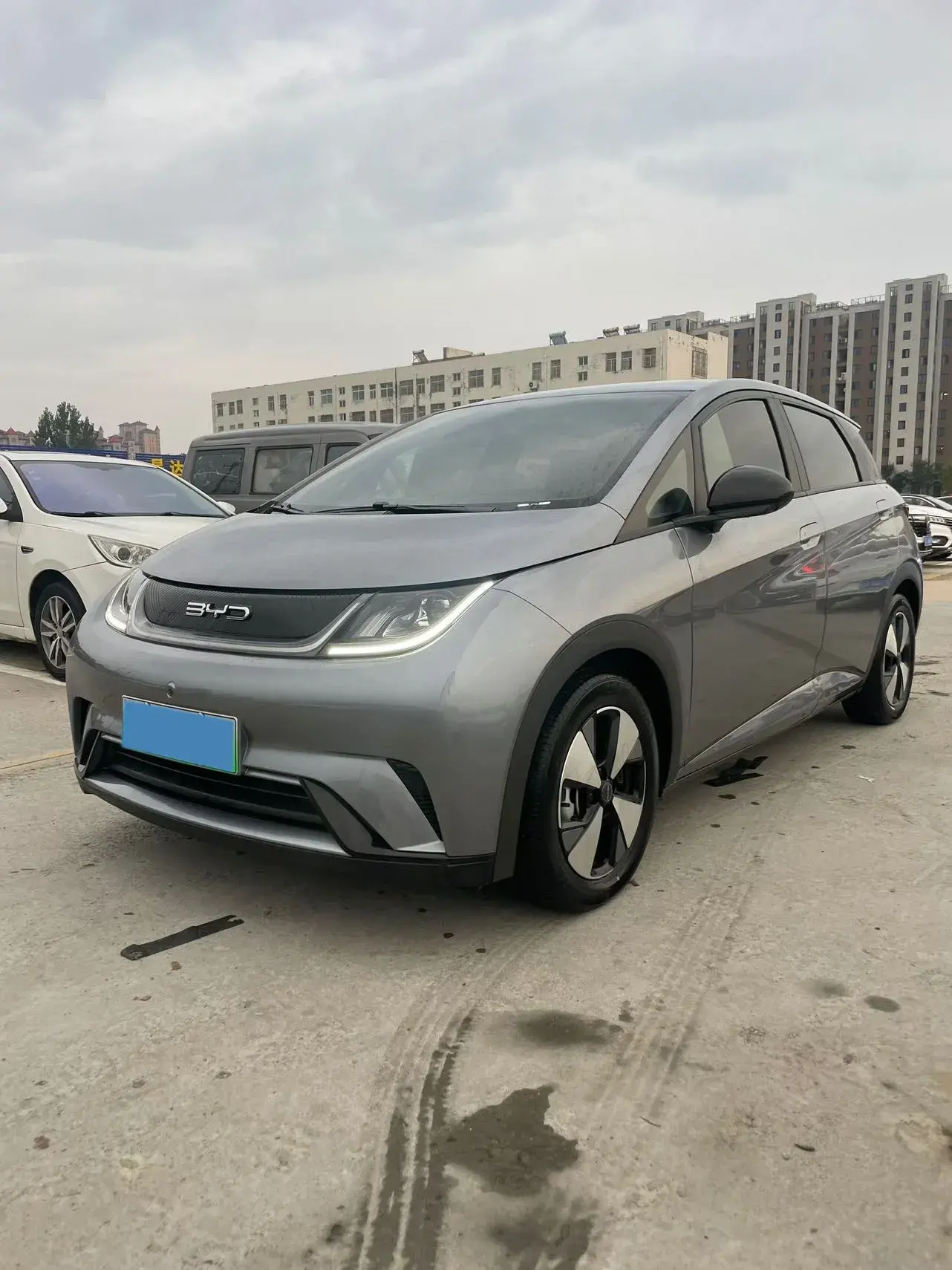 2023 BYD DOLPHIN view 1