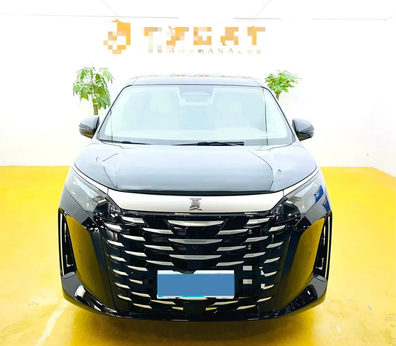 2025 BYD XIA thumbnail 2