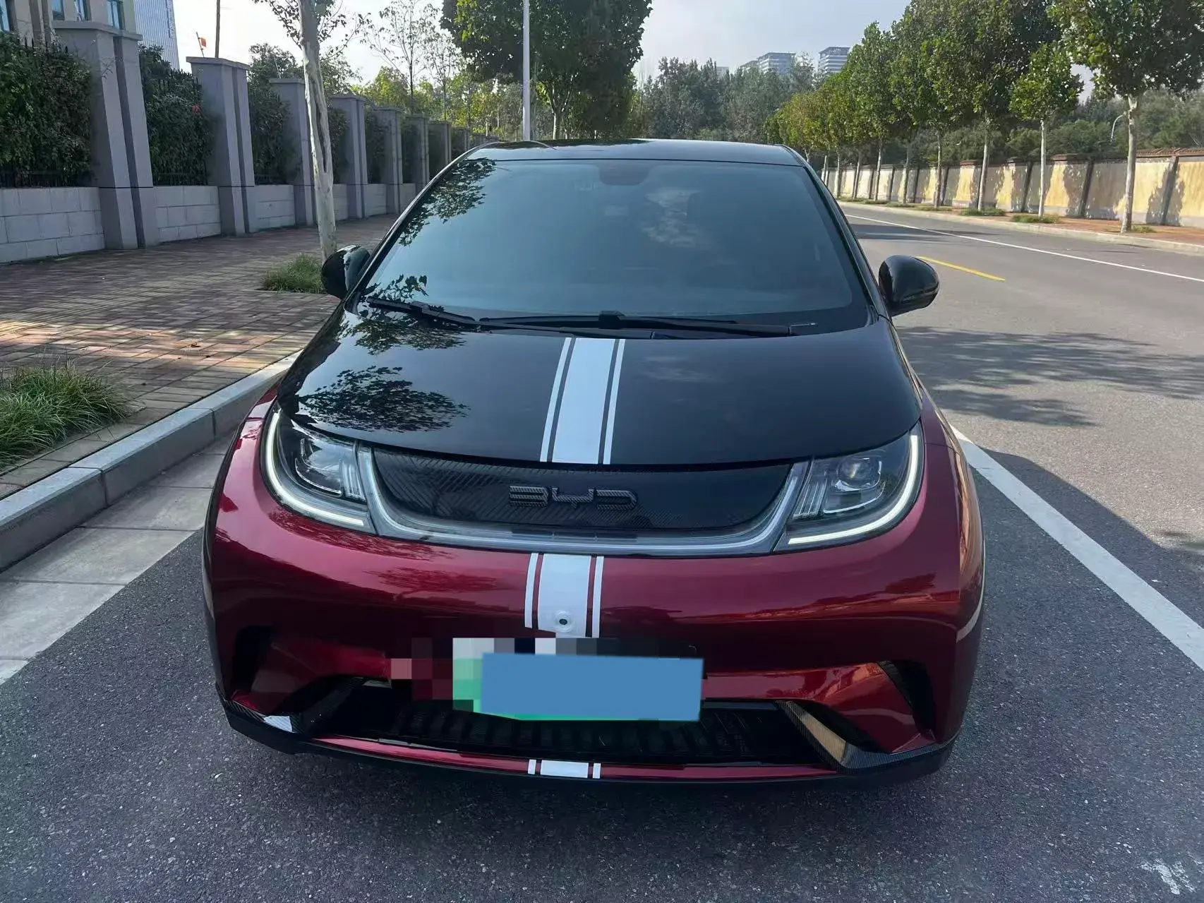 2021 BYD DOLPHIN thumbnail 2