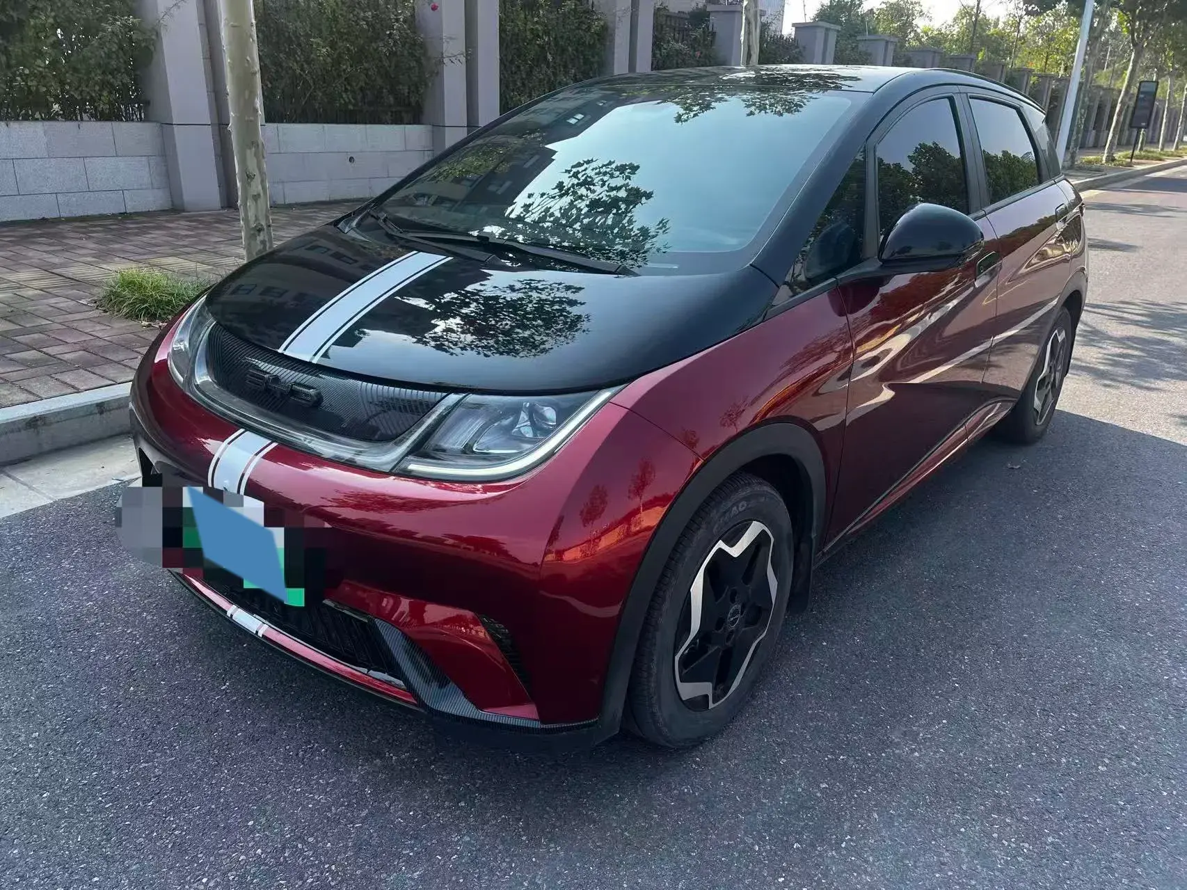 2021 BYD DOLPHIN view 1