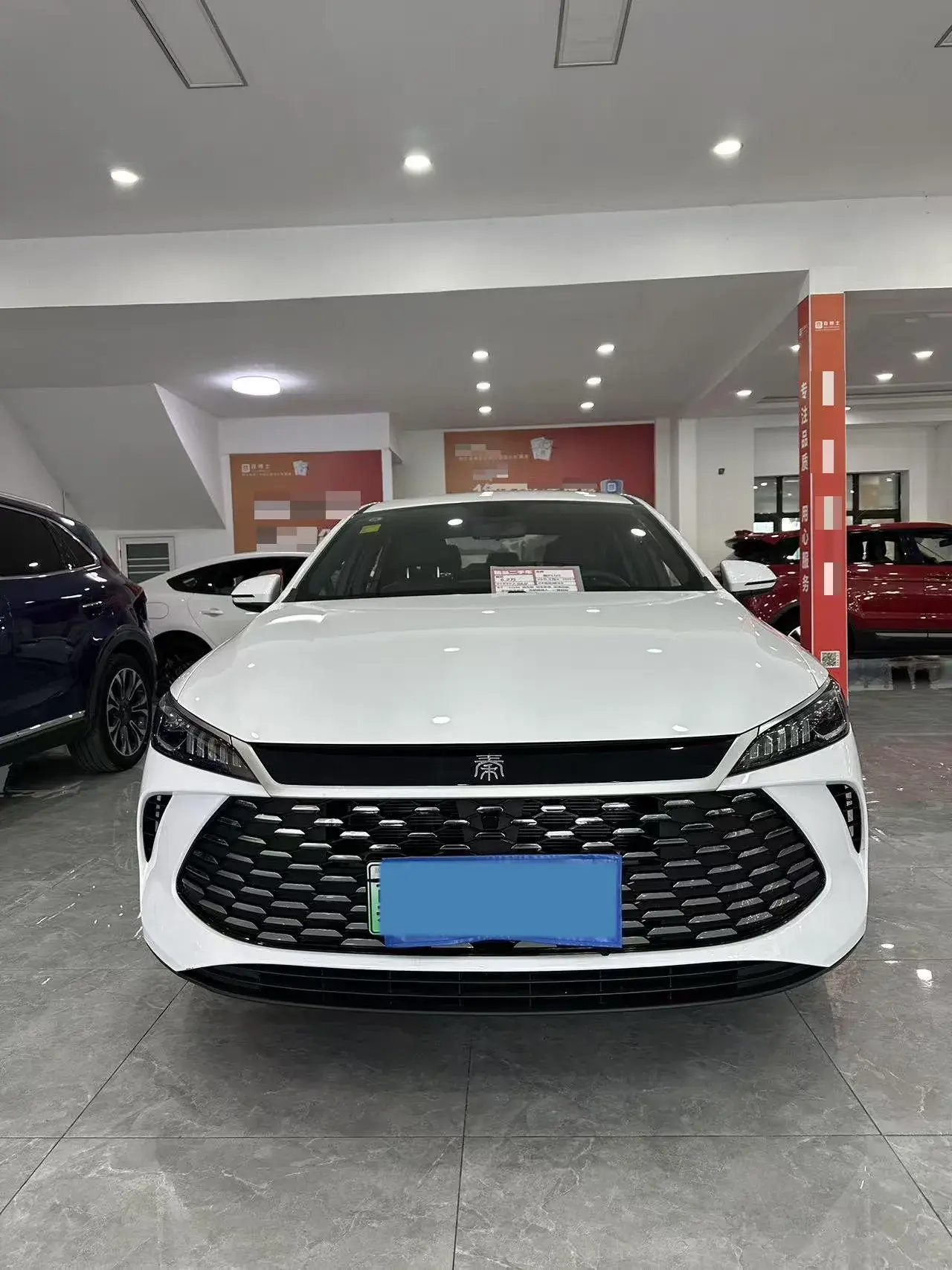 2024 BYD QIN thumbnail 2