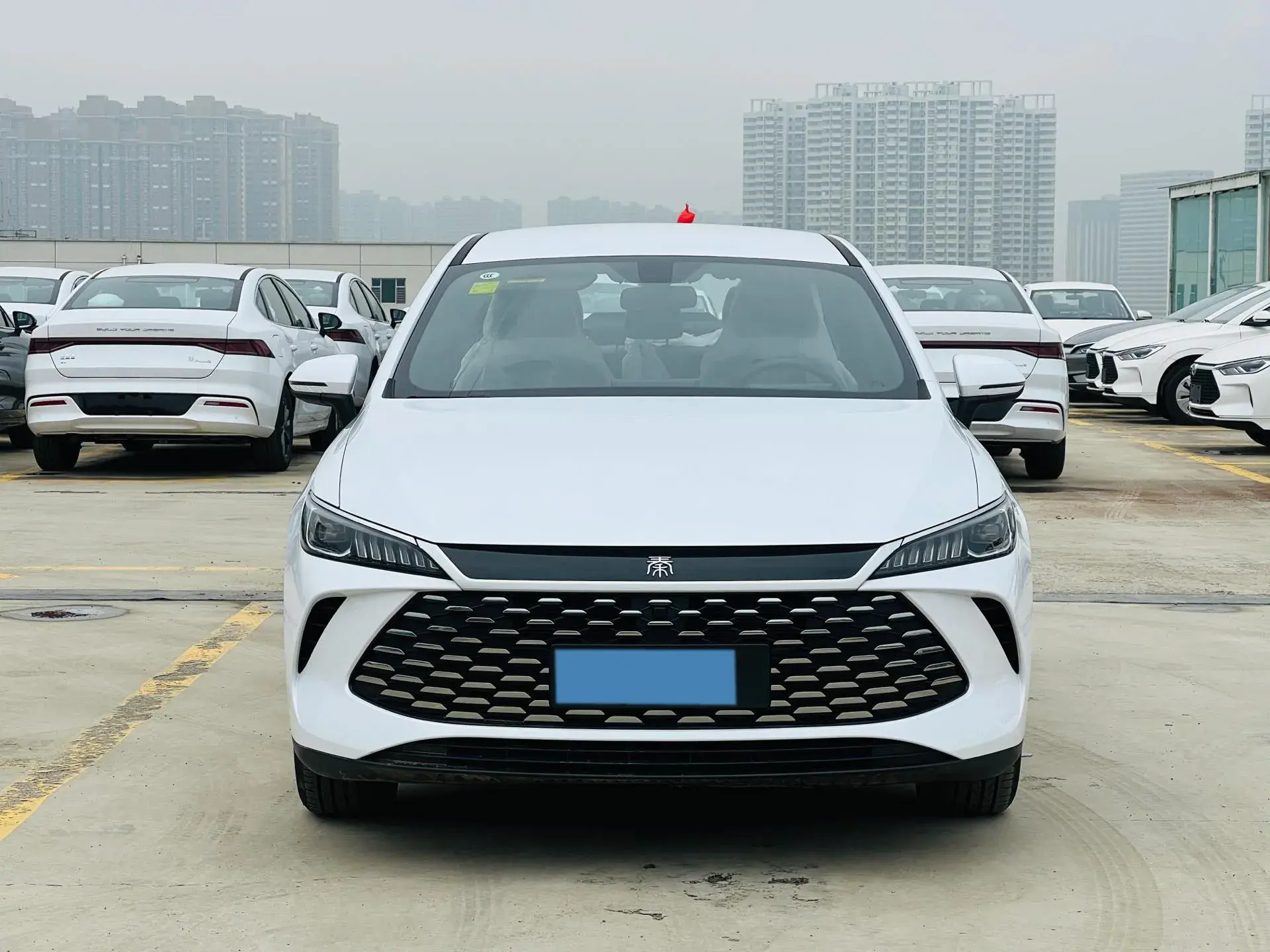 2025 BYD QIN thumbnail 2