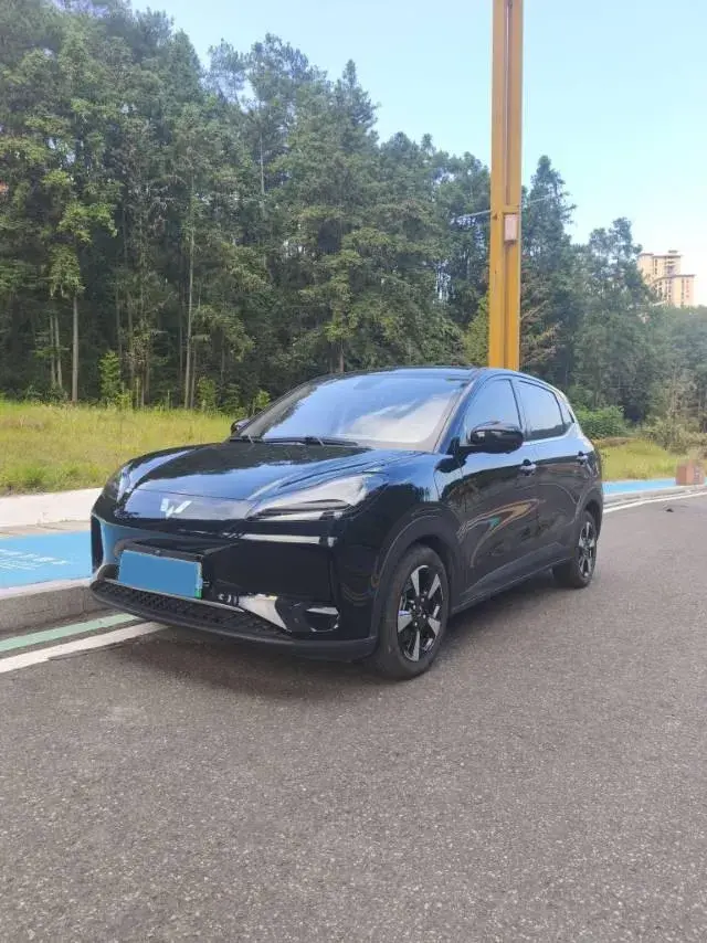 2024 WuLing BinGuoPLUS BEV 50.6KWH