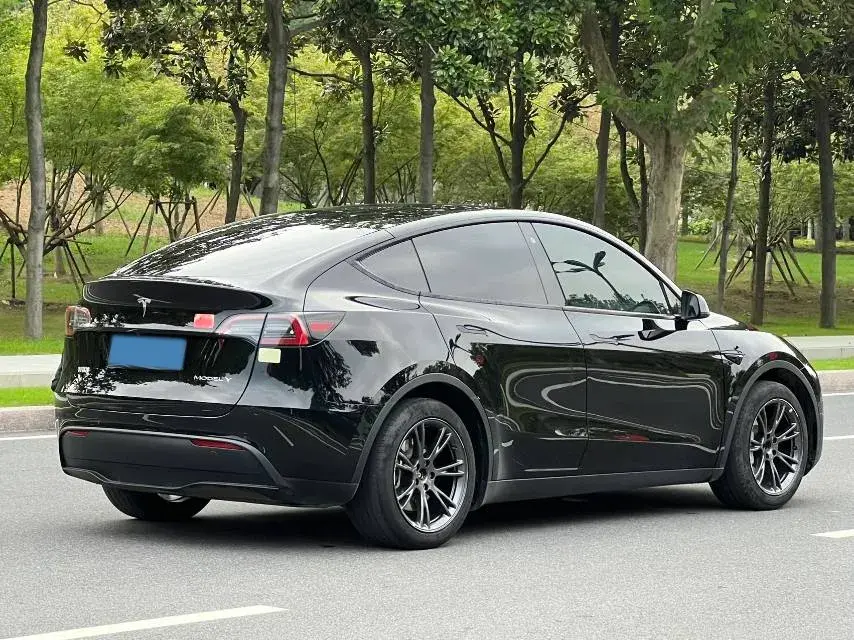 2023 TESLA MODEL thumbnail 4